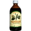 arcangea Piantaggine Sciroppo 200ml arcangea