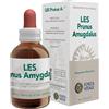 Les prunus amygdalus gocce 50 ml