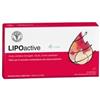 UNIFARCO LIPOactive Integratore per il Metabolismo 30 Capsule Softge - UNIFARCO - 982474064