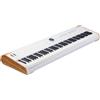 ARTURIA ASTROLAB 88 SINTETIZZATORE PIANO DIGITALE CONTROLLER MIDI 88 TASTI