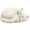 Perfect Petzzz 4934 - Gattino di peluche, colore: Bianco