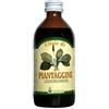 ARCANGEA Srl PIANTAGGINE SCIR 200ML
