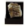A Bijoux Pietre E Minerali. Serpentina Cromitica. 41,12 Ct. Estrie, Québec, Canada.