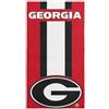 Northwest THE NORTHWEST COMPANY Telo mare con licenza ufficiale NCAA Zone Read, diversi colori, 76,2 x 60, Rosso, 30 x 60