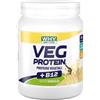 WHY NATURE VEG PROTEIN - Proteine in Polvere Vegetali con Vitamina B12 - Senza Glutine - Gusto Cacao - 450 gr