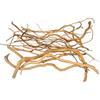 emours - Rami naturali per acquario, [170g] (40-80 cm / 16-32 pollici) - Rami unici di radice/ragno in legno per acquari, vasche con piante e terrari, decorazione per pesci e piante, ogni pezzo unico