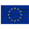 TCTOHZNG Europa Flag European Union FLAG 90 x 150 cm- Bandiera EU Poliestere Metallo Occhielli all'aperto Colore vivido e Adatto per uso interno ed esterno