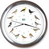 KOOKOO Singvögel cromo, l'orologio degli uccelli canterini, orologio da parete rotondo con richiami naturali di uccelli, movimento al quarzo