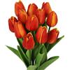 N&T NIETING Tulipani artificiali, 12 pezzi, tulipani finti tulipani in poliuretano, in lattice, colore rosso finto tulipani, per bouquet, feste, compleanni, casa, ufficio, arancio rosso