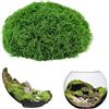 ddckj 200g Muschio Stabilizzato Verde Scuro Muschio Finto per Decorazioni per Lavori Artigianali Decorazioni Natalizie da Giardino e da Tavola