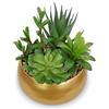 Arborus Piante grasse artificiali da 17 cm, in vaso di ceramica dorata, piante grasse finte, piccole piante artificiali in vaso, per ufficio, casa, bagno, mensola decorativa