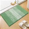 Enyhom Tappeto Bagno Antiscivolo 45 x 65 cm, Tappetino Bagno Verde Super Assorbente Morbido, Tappetini Bagno in Microfibra Lavabile in Lavatrice, Tappeto Doccia per Soggiorno, Doccia, Vasca