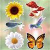 JSRQT 6 Pezzi Adesivo Magnetico Decorativo Magneti per Zanzariera Magneti Flessibili Decorativi Farfalle Magnetiche Doppia Faccia Calamita Colibrì Libellula Screen Door Decals Magneti Porte a Schermo