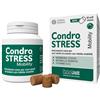 Innovet Condrostress Mobility 60 Soft Chews Mangime Per Cani