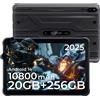 HOTWAV R10 Pro 2025 Tablet Rugged Android 14 10.1 Pollici HD Tablet Robusto 10800mAh