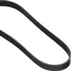 DAYCO 6PK800 CINGHIA POLY-V CITROEN JUMPER RELAY TDI