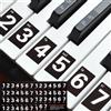 QUARKZMAN Adesivi per Tastiera Pianoforte, 88/61/54 Tasti Numerati Guida Note Adesivi Rimovibili per Principianti Apprendimento, Nero