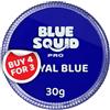 Blue Squid Pro, Pittura per il viso classica, colore blu reale (30 g), professionale, a base d'acqua, confezione singola, articoli di make-up per viso e corpo per adulti, bambini ed effetti speciali