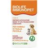 Biolife Immunopet 60 Capsule