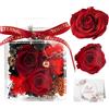 Cynrikah Rosa Stabilizzata, Vera Regalo Donna Regalo Rose Stabilizzate con Ornamenti in Acrilico, Anniversario Compleanno Festa della Mamma Regali Donna Nonna Mamma(Rosso)