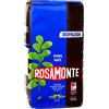 Yerbee Rosamonte Yerba Mate Tè Despalada 500g | Yerba Mate Argentino | Bevanda disintossicante ed energetica