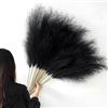 YiYa 12 Pcs Erba di Pampa Decorativa 113cm Decorazione Pampas Secca Grande Fiori Secchi Decorativi per Vaso per Soggiorno, Casa, Pavimento, Vaso, Decorazione Boemia（Nero）