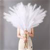 YIYA Decorazione Pampas Secca Grande 6 Pcs 113cm Bianco Pampas Erba Simulata Pampas Erba Pampa Artificiali Fiori per Soggiorno, Casa, Pavimento, Vaso, Decorazione Boemia