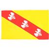 AZ FLAG Bandiera Lorena 90x60 cm Della Lorena Poliestere 100D 2 Occhielli | Uso interno ed esterno bandiera decorativa doppie cuciture e bordi rinforzati con occhielli metallici