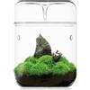 SARUFO Piccolo terrario in vetro per piante grasse, 11,9 x 17,8 cm, felce, muschio, vaso micro-paesaggistico, per casa, giardino, ufficio, tavolo, contenitore decorativo con coperchio, brevetto per
