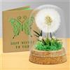 AOOTE Vero Dente di Leone In Vetro, Regali Decorativi In Vetro con Biglietti D'auguri, Conservato In Modo Permanente, Fiore Soffione Regali per Compleanno, Matrimonio, Natale, per Mamma, Amica