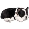 Perfect Petzzz Boston Terrier the Breathing Puppy