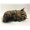 Perfect Petzzz Gatto Maine Coon il Cucciolo che Respira the Breathing Puppy