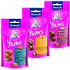 Vitakraft Cat Yums misto con salmone, formaggio, fegato snack per gatto (3 X 40g) 2 Confezioni combinata