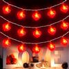 TaimeiMao Stringa di luci a LED a forma di cuore, Stringa di luci a forma di cuore con coriandoli di cuore di carta, Stringa di luci rosse lunga 3 m, per la decorazione di San Valentino, Decorazione per matrimo