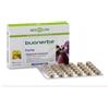BIOS LINE SpA BUONERBE FORTE 60 COMPRESSE BIOSLINE