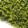 TENAX Siepe Sintetica a Pannelli per Parete Giardino Verticale, Tipo Bosso Verde Chiaro, Divy 3D Panel Buxus 0,50 x 1 m, componibile per Decorazione e schermatura
