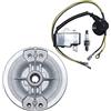 Gubeter Kit scintilla bobina accensione volano Gubeter, per motosega Per Stihl Ms 251, Ms 251C, 1143 400 1203