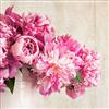 Pro-Art-Bilderpalette PRO-Art gla940a - Dipinto murale Sweet Peony III, Arte su Vetro, 30 x 30 cm