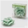 EDG Enzo De Gasperi Candela a forma di Rosa Galleggiante D11 (No-Perlata) 8 Sage Verde