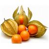 Antica Farmacia Orlandi Frutti Di Alchechengi Essiccati Per Infuso O Uso Diretto