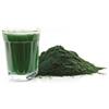 Antica Farmacia Orlandi Chlorella Alga Tallo Polvere 100 Gr