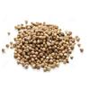 Antica Farmacia Orlandi Frutti Di Coriandolo Taglio Tisana 100 G