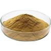 Antica Farmacia Orlandi Polvere Di Radice Di Genziana Lutea 100 G