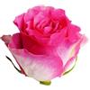 Antica Farmacia Orlandi Rosa Boccioli Rosa Interi 100 Gr