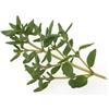 Antica Farmacia Orlandi Timo Montano Foglie 100 Gr
