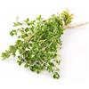 Antica Farmacia Orlandi Timo Volgare Foglie 100 Gr