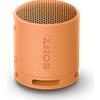 Sony XB100 Speaker wireless portatile