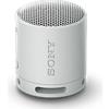Sony XB100 Speaker wireless portatile