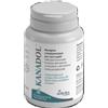 AURORA BIOFARMA Srl Kanadol 50 compresse - - 984790319