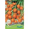 Germisem Marché de Paris 4 Semi di Carota 3 g